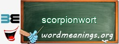 WordMeaning blackboard for scorpionwort
